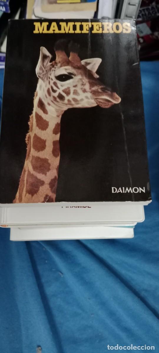 Libros de segunda mano: MAMIFEROS - DR. MAURICE BURTON - EDICIONES DAIMON LIBRO GG-BTJ