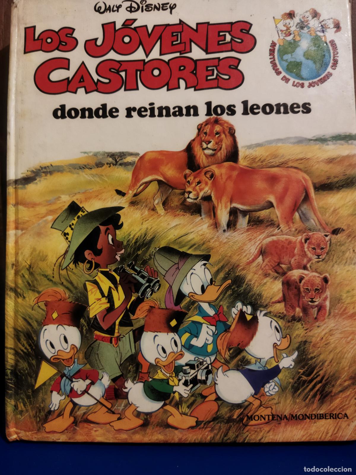 Libros de segunda mano: Donde reinan los leones