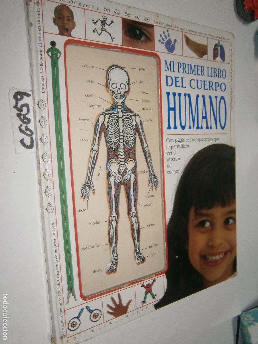Libros de segunda mano: MI PRIMER LIBRO DEL CUERPO HUMANO