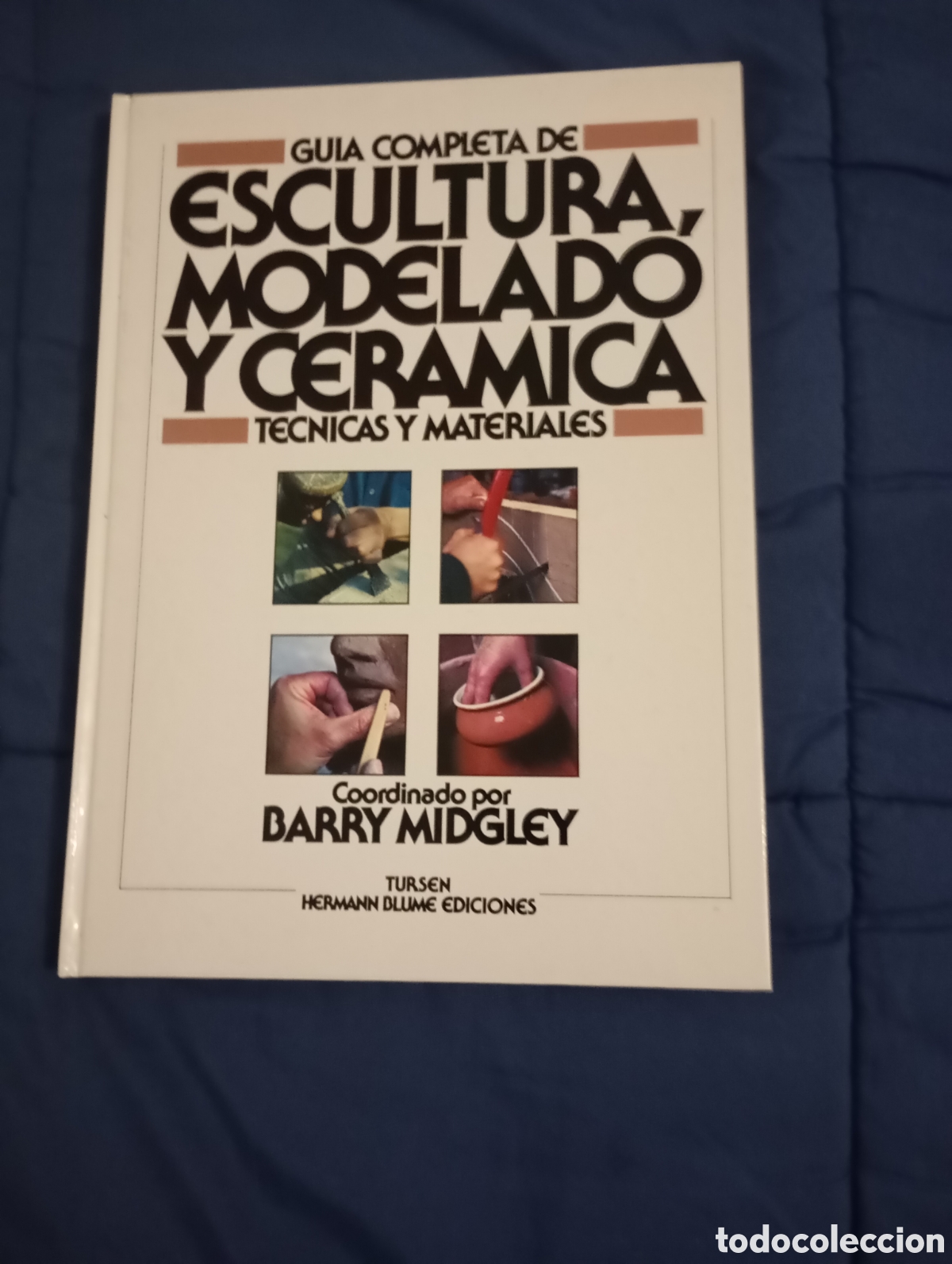 Libros de segunda mano: GUIA COMPLETA DE ESCULTURA, MODELADO Y CERAMICA. T&Eacute;CNICAS Y MATERIALES - BARRY MIDGLEY (COORD.)
