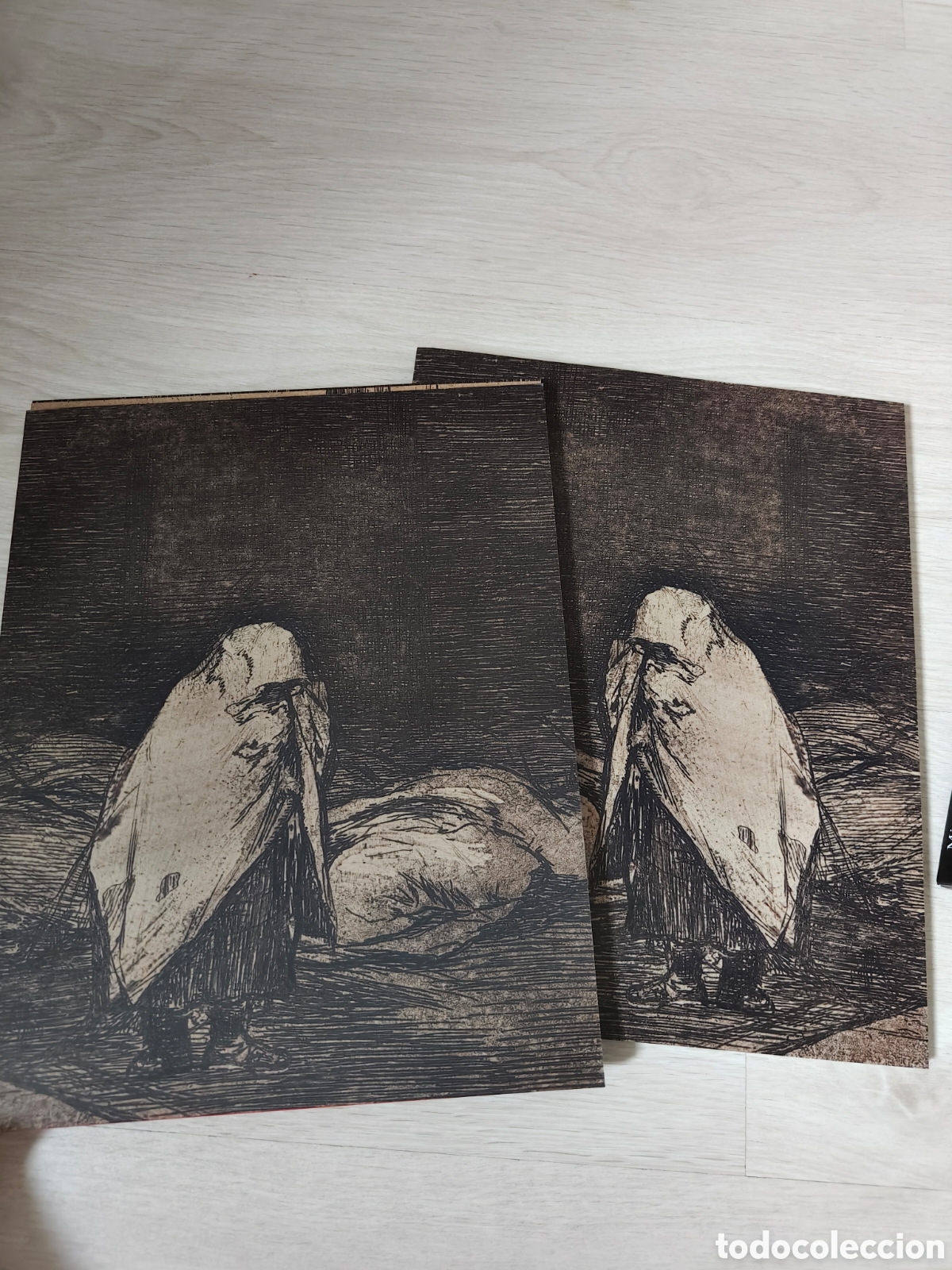 Libros de segunda mano: Goya: Cronista de Todas las guerras