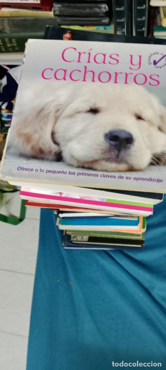 Libros de segunda mano: CRIAS Y CACHORROS PERROS LIBRO GG-GON