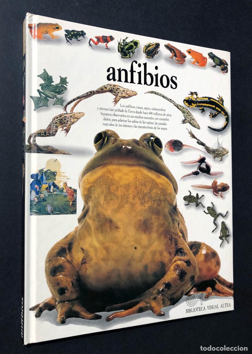 Libros de segunda mano: ANFIBIOS / BIBLIOTECA VISUAL ALTEA A&Ntilde;O 1993 / SIN USAR