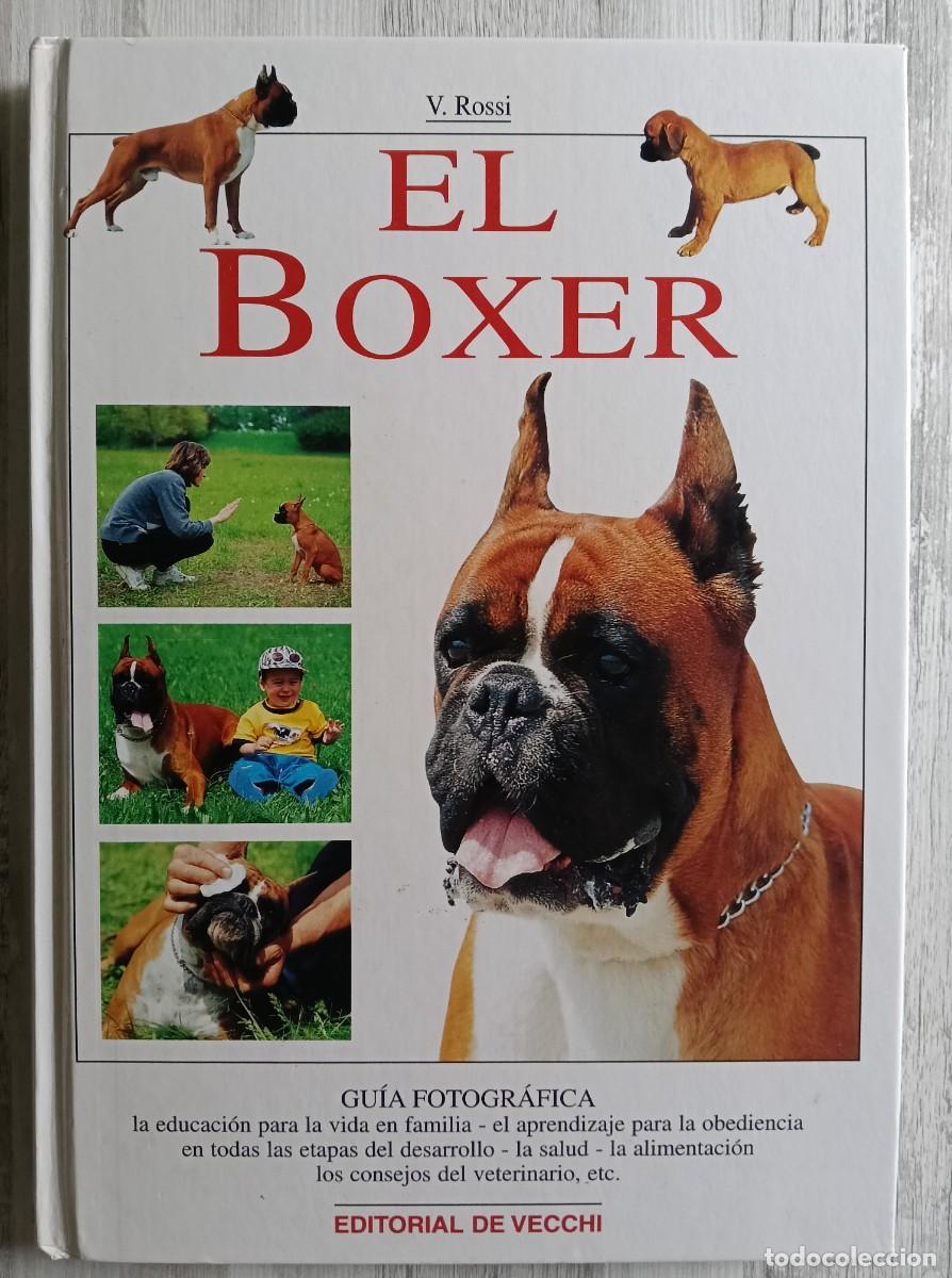 Libros de segunda mano: El Boxer - Valeria Rossi - Foto 1