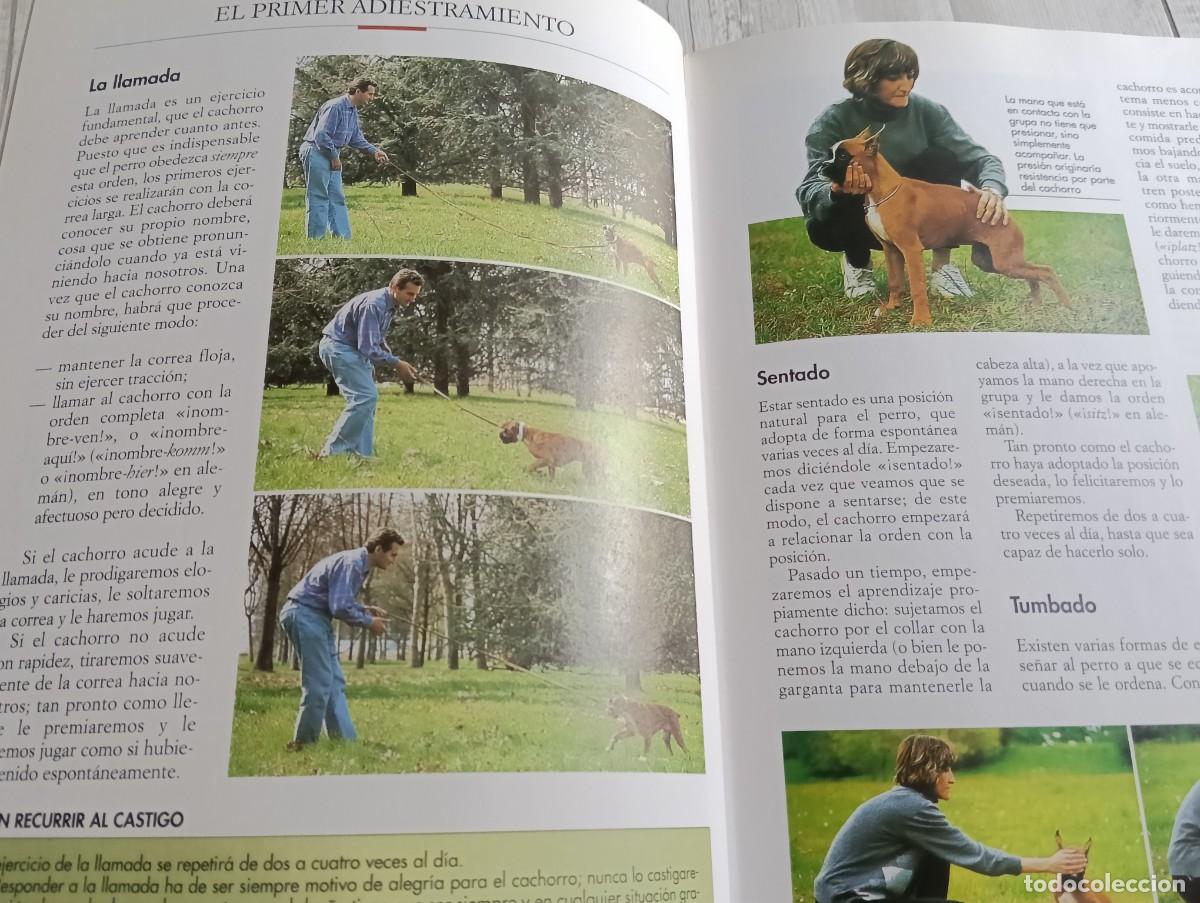 Libros de segunda mano: El Boxer - Valeria Rossi - Foto 3