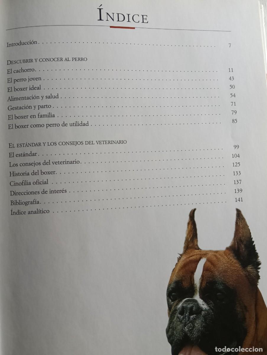 Libros de segunda mano: El Boxer - Valeria Rossi - Foto 4