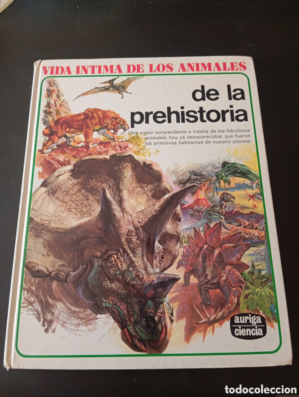 Libros de segunda mano: Vida &iacute;ntima de los animales de la prehistoria