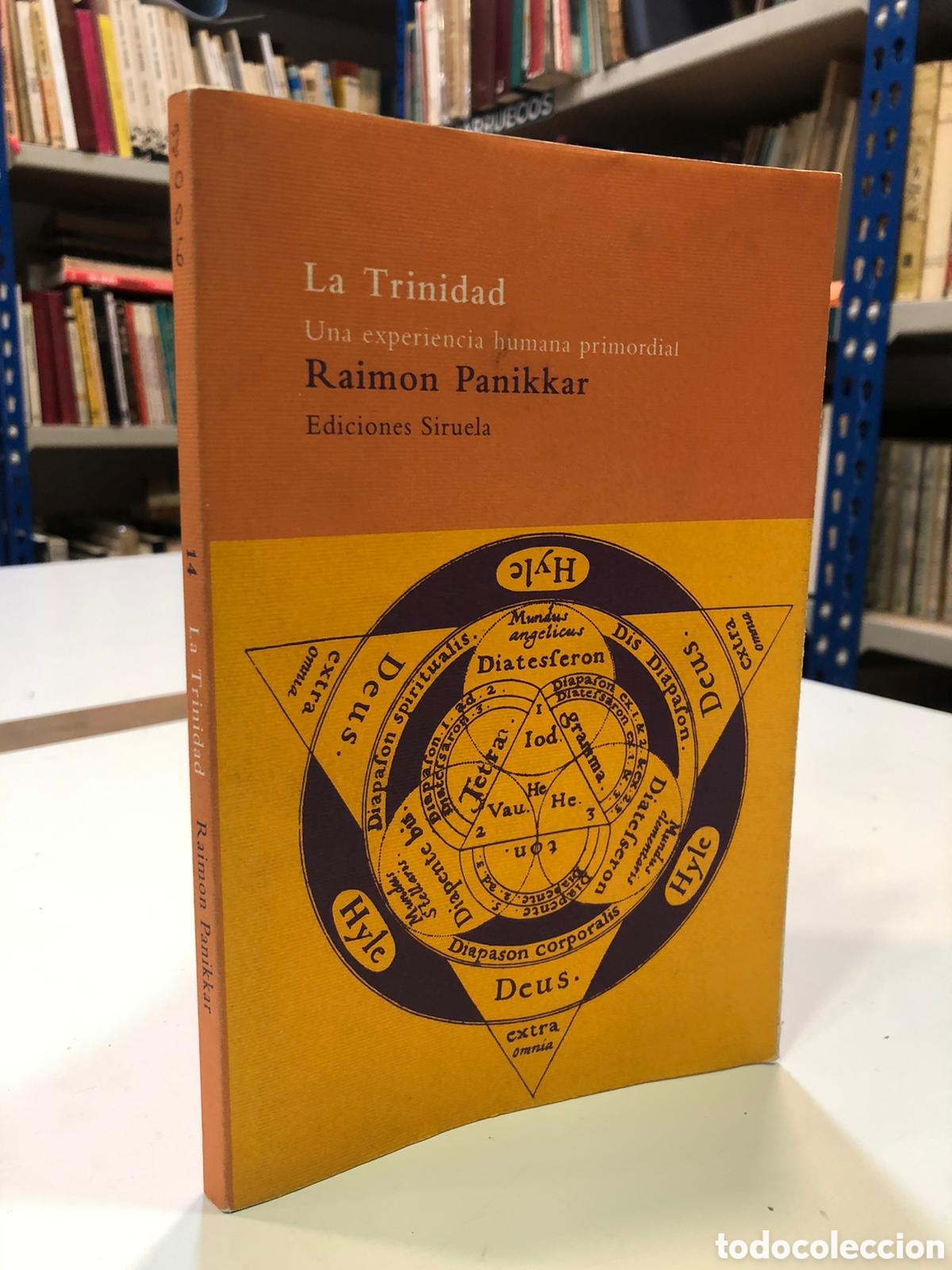 Livres d'occasion: La Trinidad. Una experiencia humana primordial - Raimon Panikkar