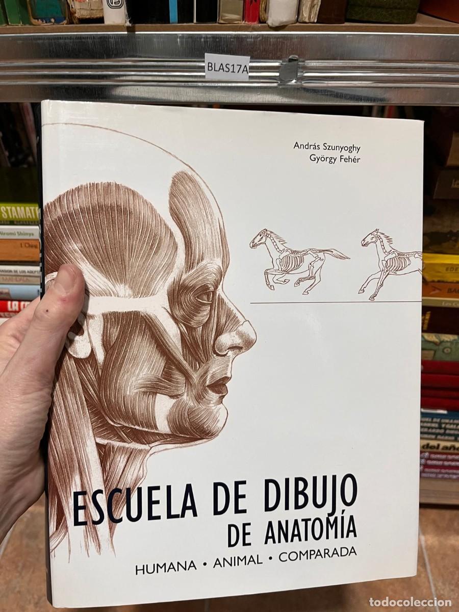 Libros de segunda mano: BLAS17A Andr&aacute;s Szunyoghy Gy&ouml;rgy Feh&eacute;r ESCUELA DE DIBUJO DE ANATOM&Iacute;A HUMANA &middot; ANIMAL &middot; COMPARADA