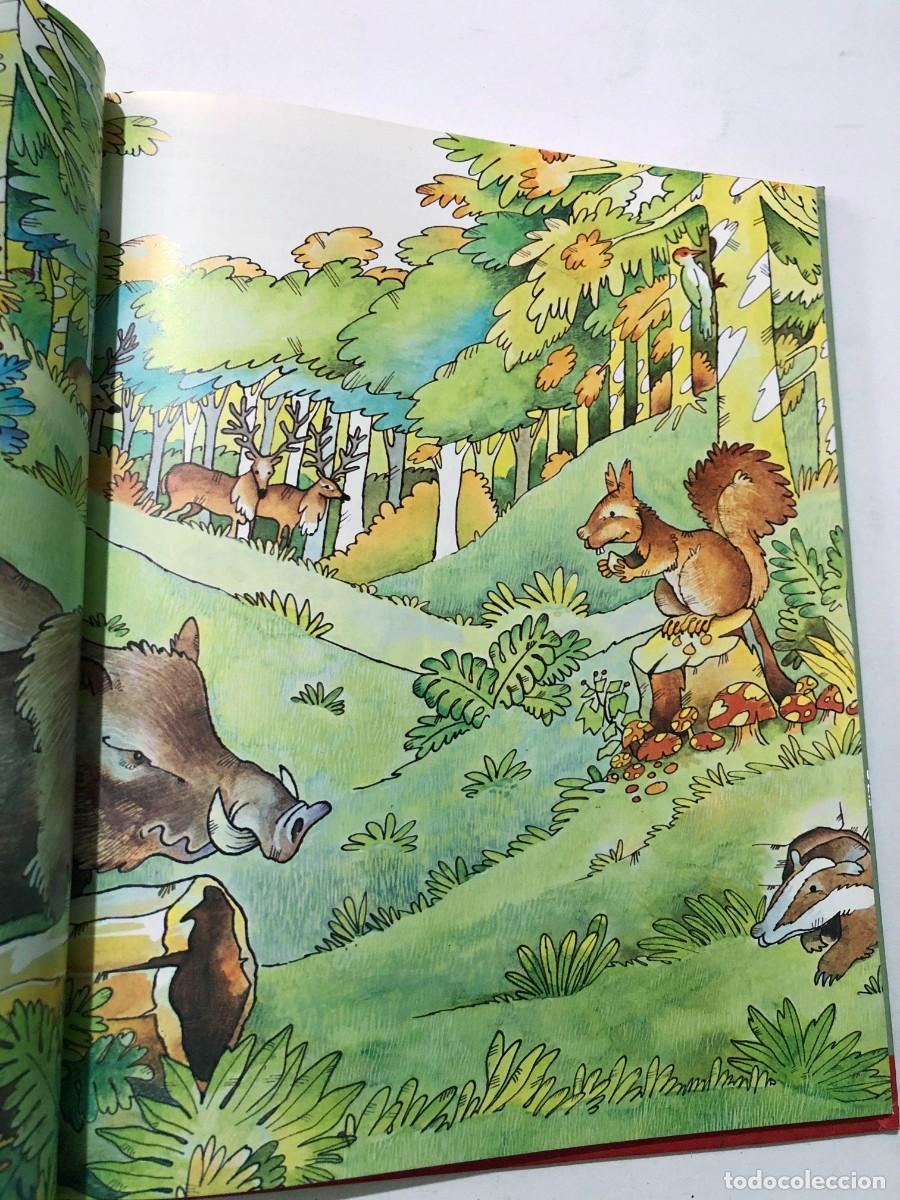 Libros de segunda mano: EL LIBRO DEL MEDIO AMBIENTE / ED. NEBRIJA 1979 - Foto 5