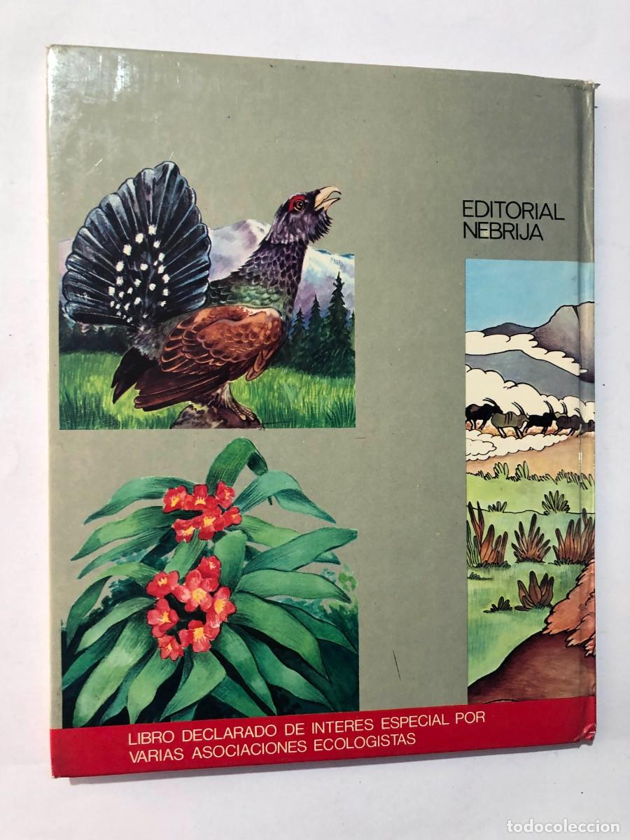 Libros de segunda mano: EL LIBRO DEL MEDIO AMBIENTE / ED. NEBRIJA 1979 - Foto 6