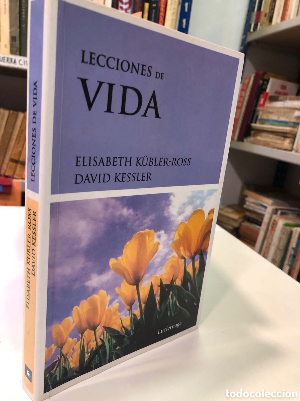 Livres d'occasion: Lecciones de vida - Elisabeth K&uuml;bler-Ross y David Kessler