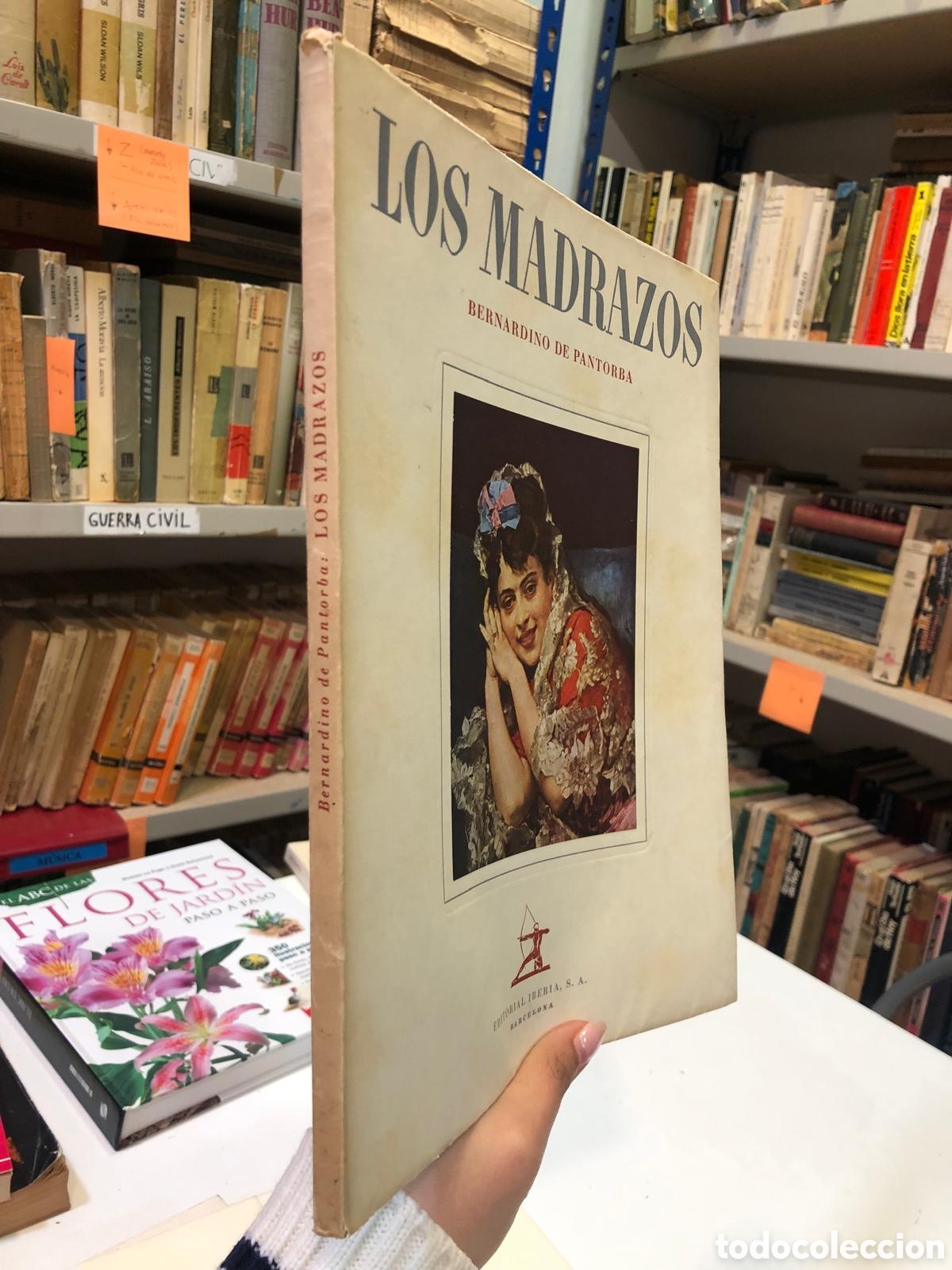 Second hand books: Los Madrazos - Bernardino de Pantorba