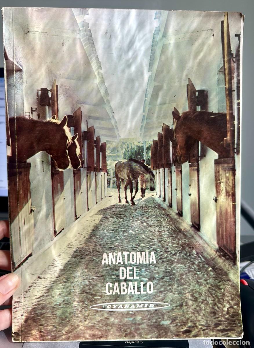 Libros de segunda mano: Anatomia del caballo manual ilustrado - Foto 1