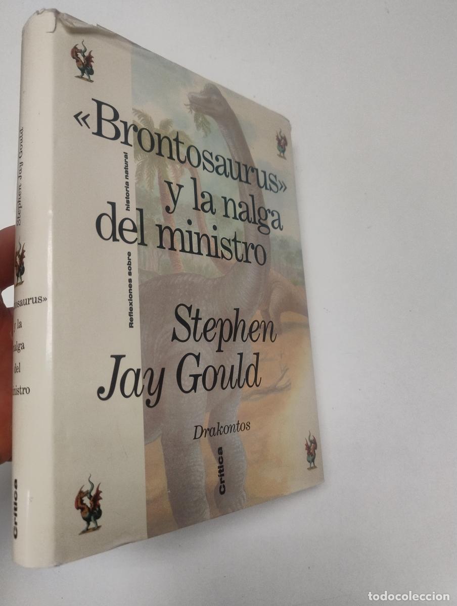 Libros de segunda mano: 'BRONTOSAURUS' Y LA NALGA DEL MINISTRO - Stephen Jay Gould