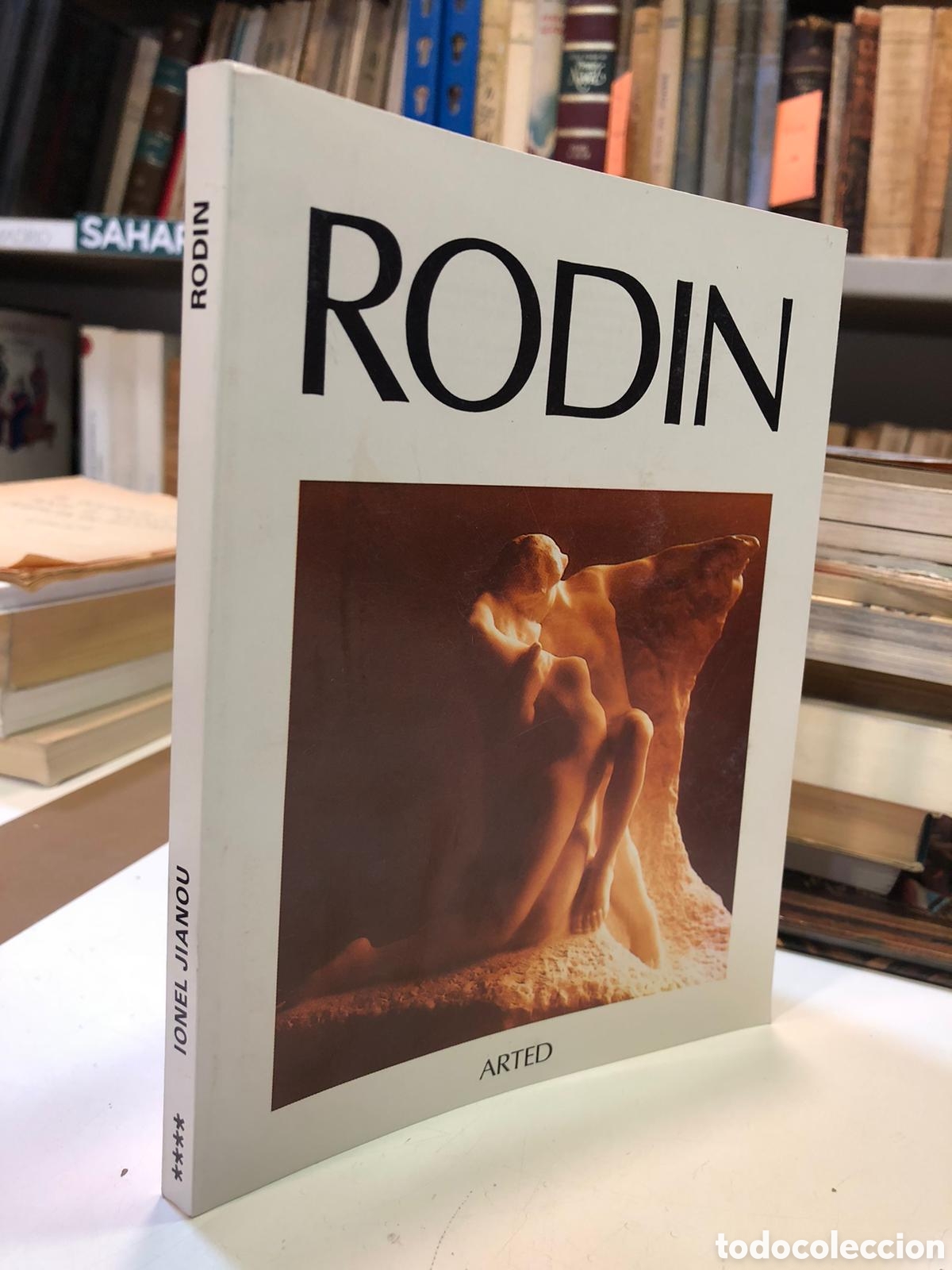 Libros de segunda mano: Rodin - Ionel Jianou - Foto 1