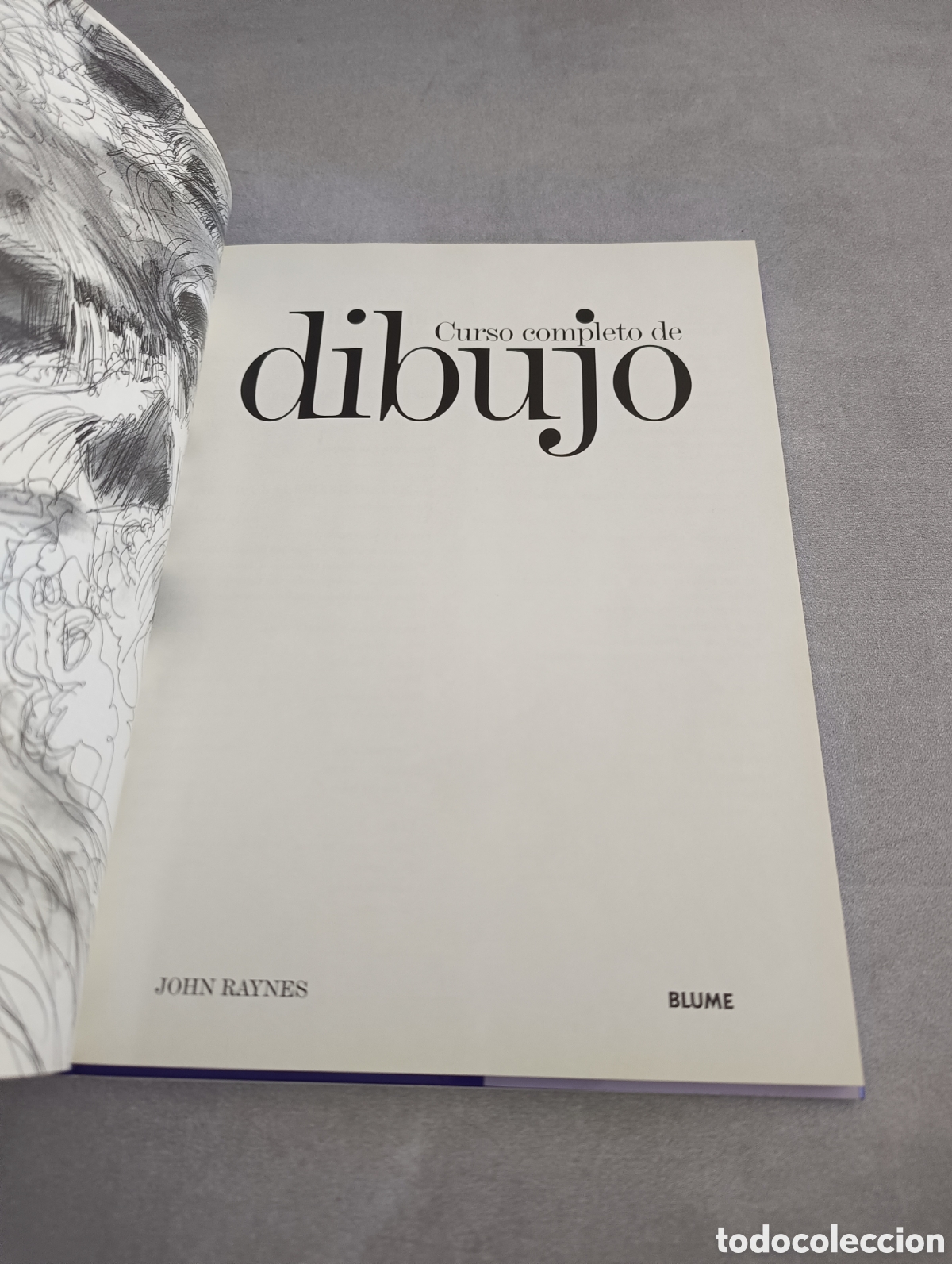 Libros de segunda mano: CURSO COMPLETO DE DIBUJO. RAYNES, JOHN. BLUME. - Foto 4