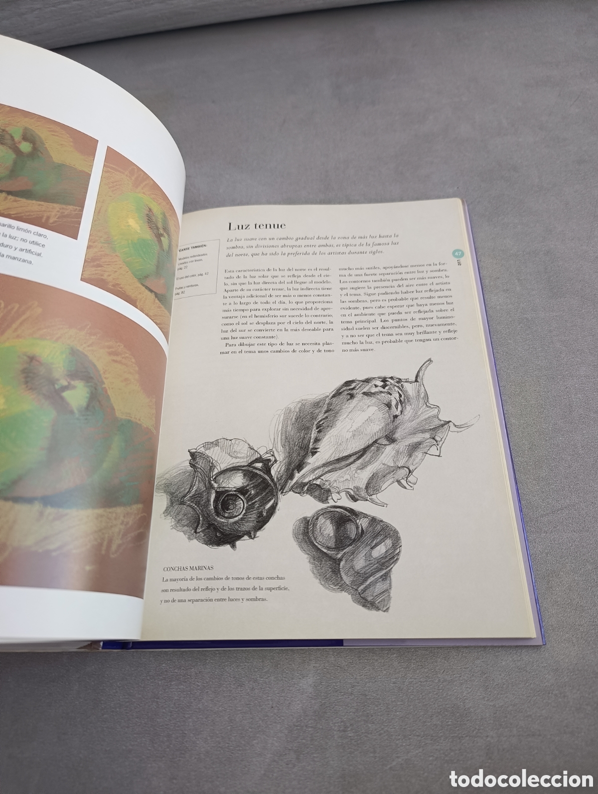 Libros de segunda mano: CURSO COMPLETO DE DIBUJO. RAYNES, JOHN. BLUME. - Foto 7