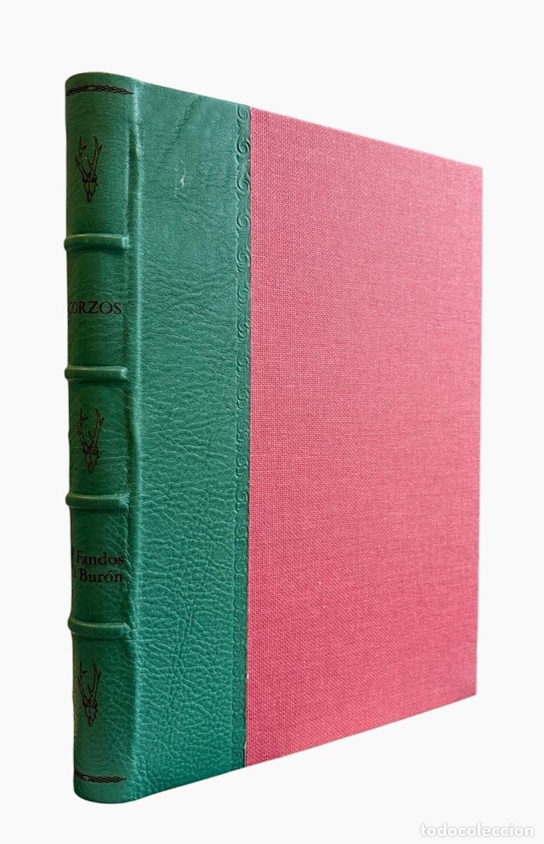 Libros de segunda mano: CORZOS. HOLANDESA PIEL