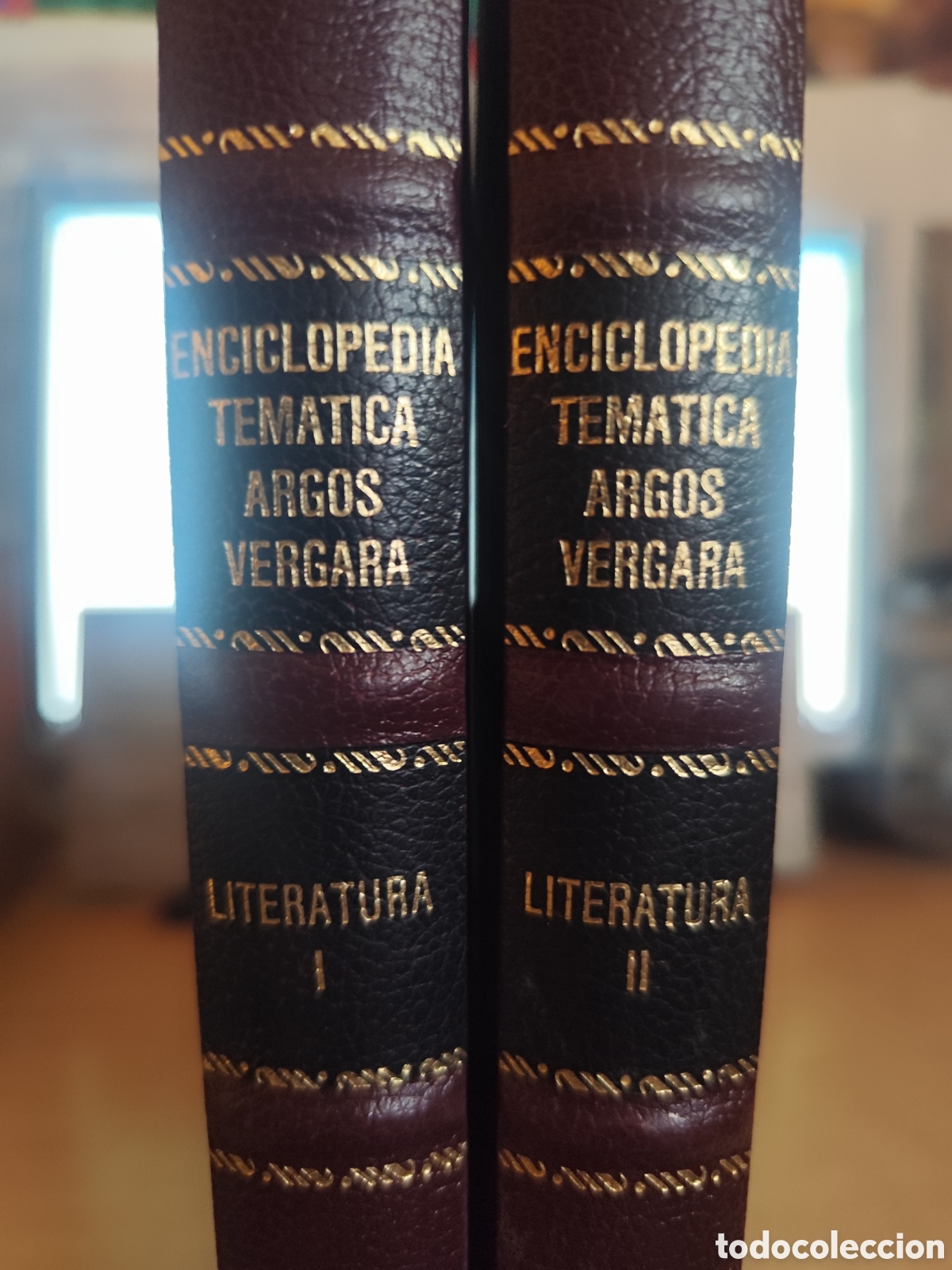 Libros de segunda mano: ENCICLOPEDIA TEMATICA LITERATURA ARGOS VERGARA 2 VOLUMENES RF290G