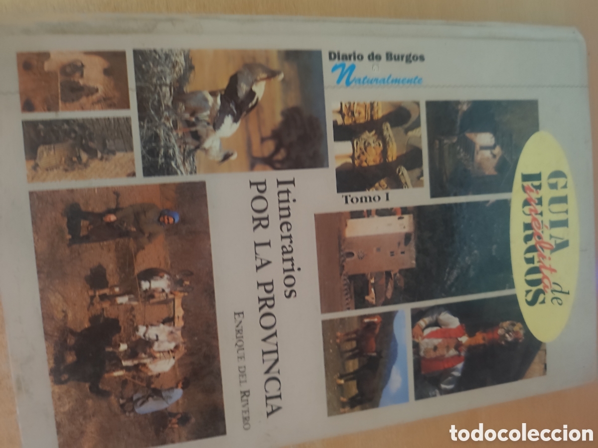 Libros de segunda mano: GUIA DE BURGOS ITINERARIOS POR LA PROVINCIA ED288G