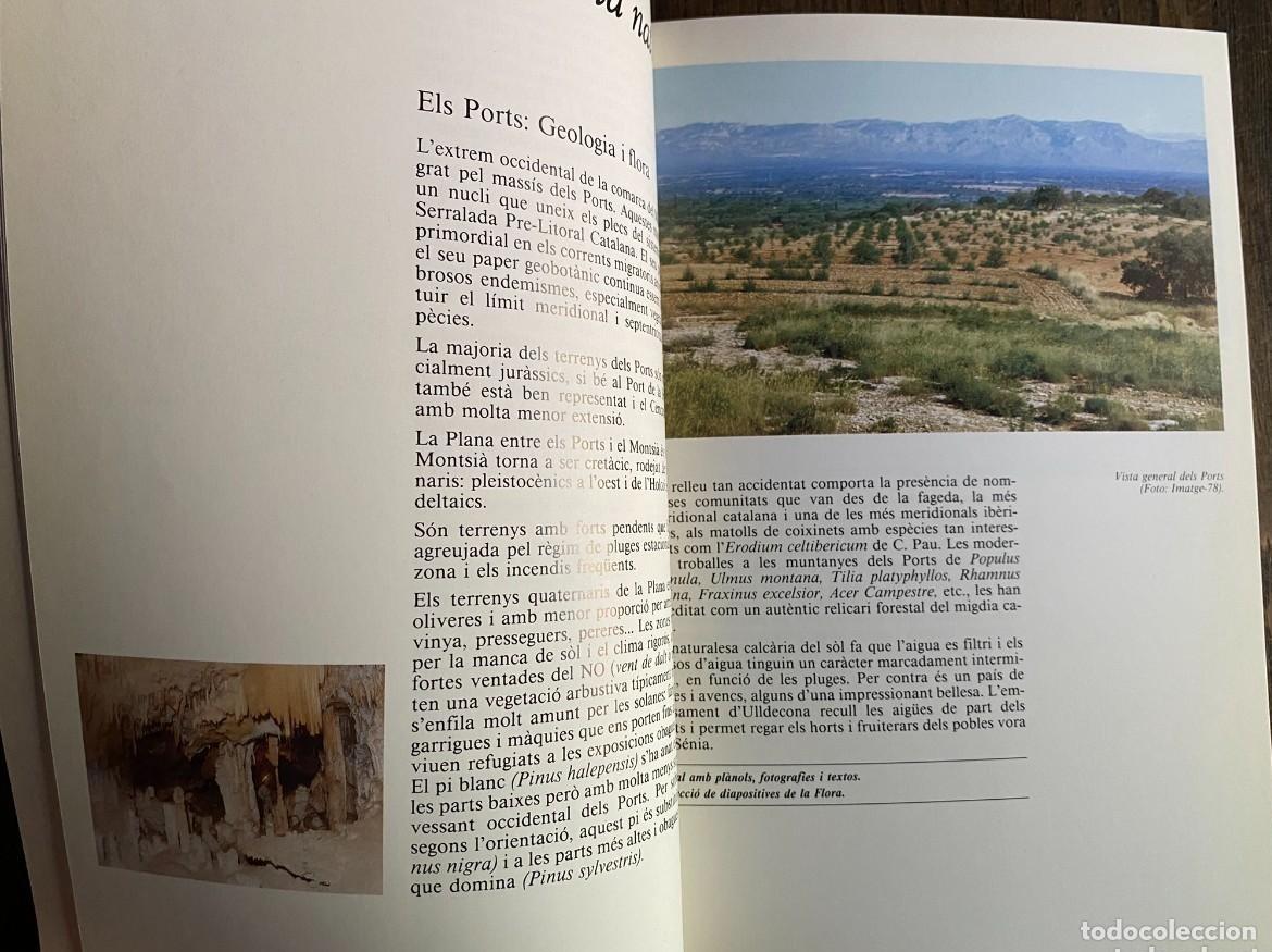 Libros de segunda mano: GUIA DEL MUSEU DEL MONTSI&Agrave; - AMPOSTA 1986 - Foto 4