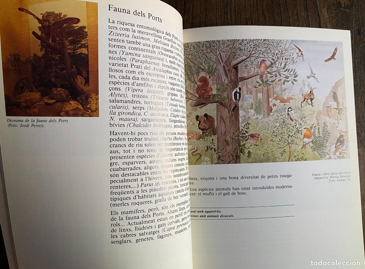 Libros de segunda mano: GUIA DEL MUSEU DEL MONTSI&Agrave; - AMPOSTA 1986 - Foto 5