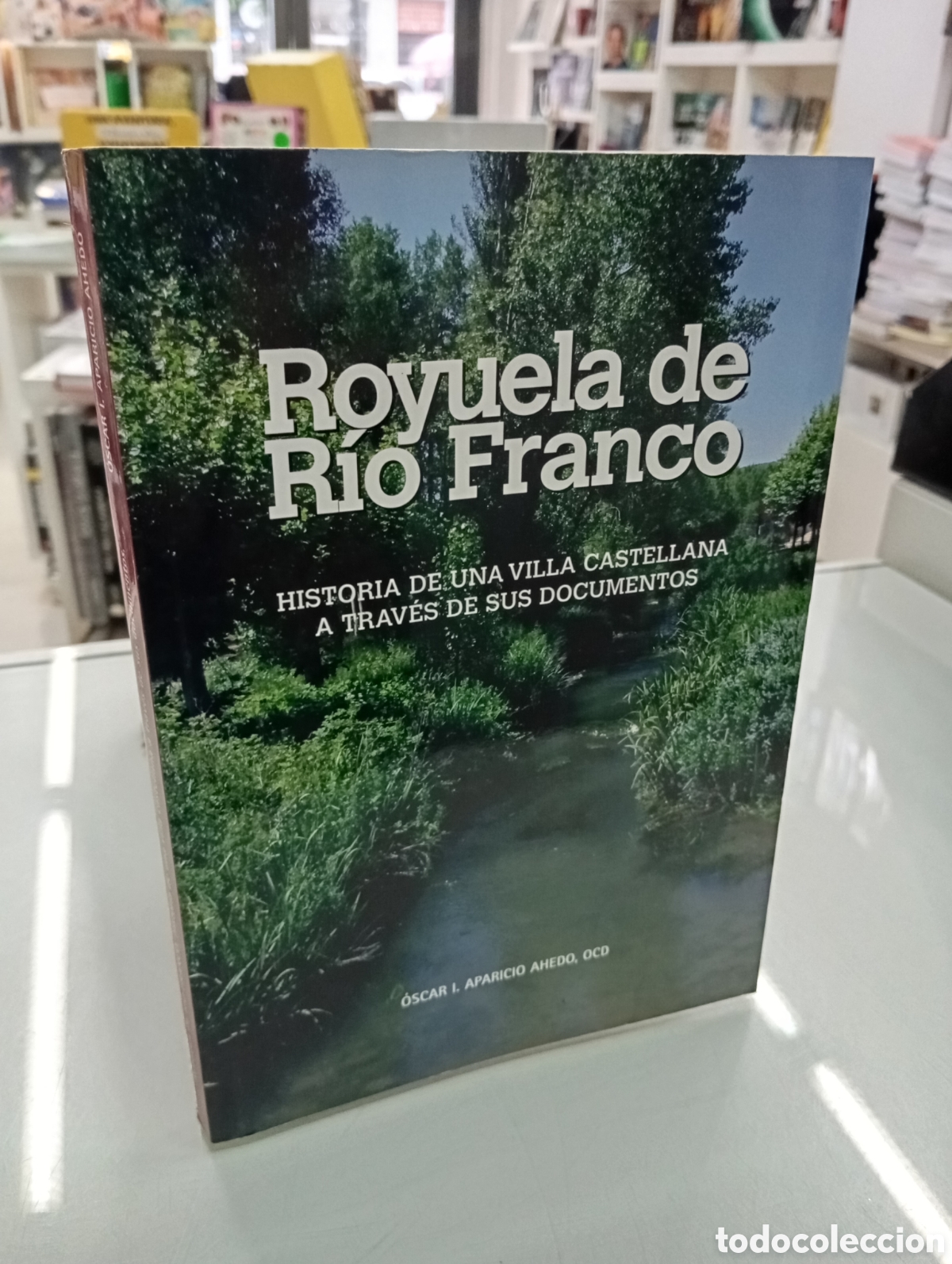 Libros de segunda mano: ROYUELA DE R&Iacute;O FRANCO Historia Villa castellana a traves documentos &Oacute;SCAR I. APARICIO BURGOS ARLANZA
