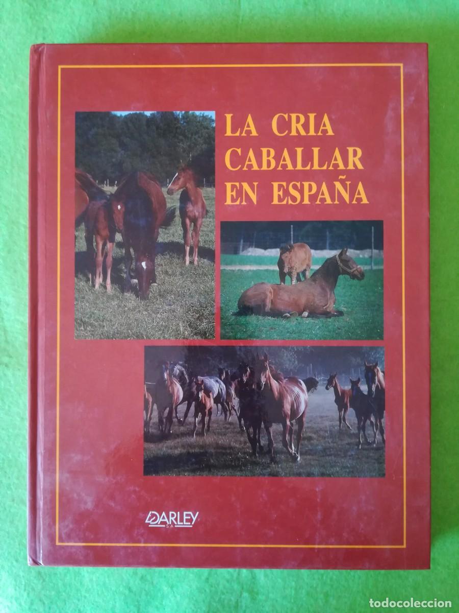 Libros de segunda mano: La cria caballar en Espa&ntilde;a Darley 1992 - Foto 1