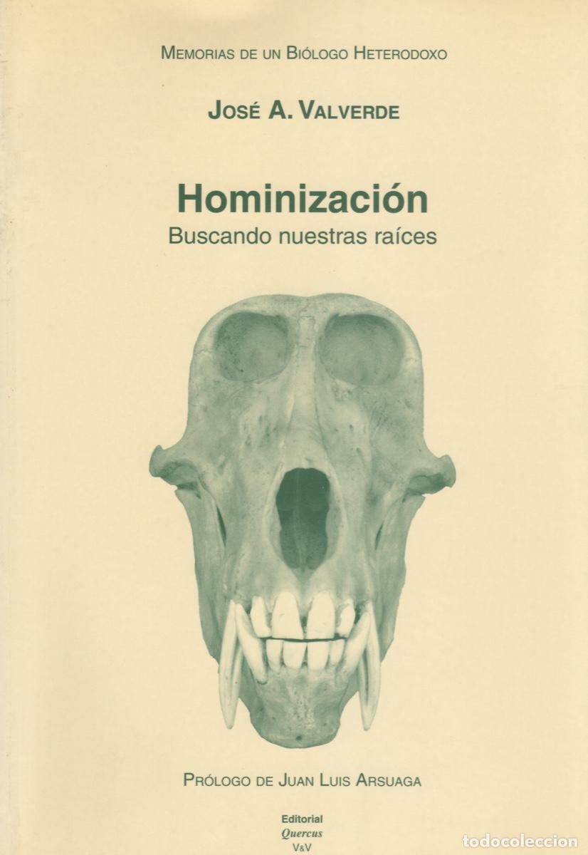 Libros de segunda mano: HOMINIZACION. Buscando nuestras raices