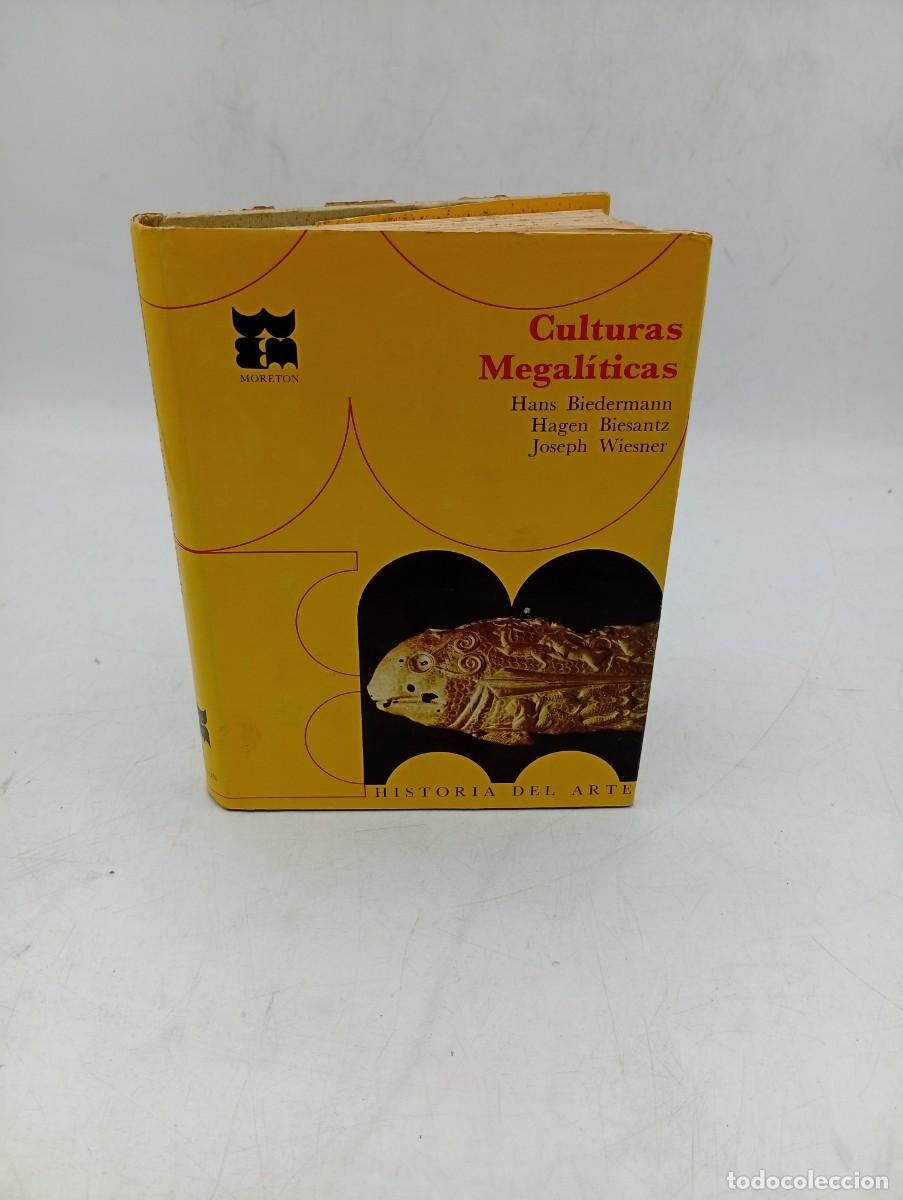 Libros de segunda mano: HISTORIA DEL ARTE. CULTURAS MEGALITICAS. HANS BIEDERMANN. ED. MORETON. PAGS : 251.