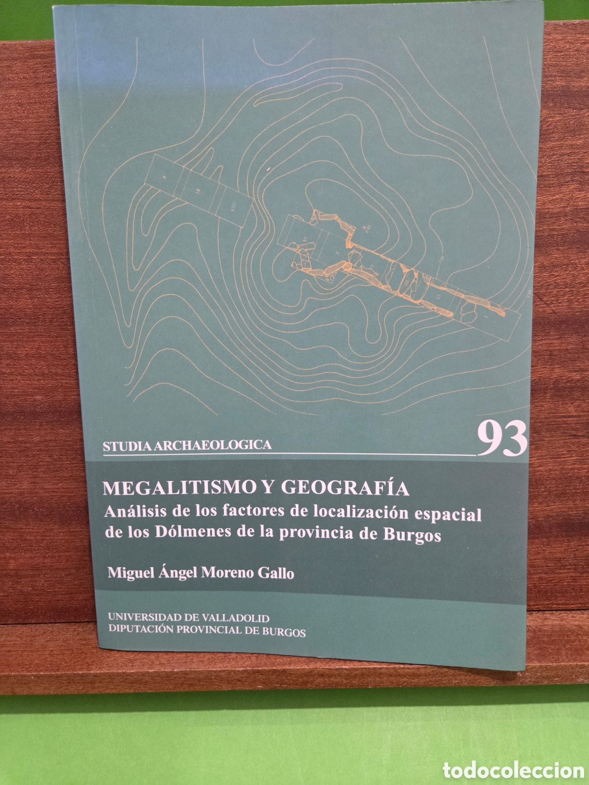 Libros de segunda mano: &rdquo;&rdquo;MEGALITISMO Y GEOGRAF&Iacute;A&rdquo;&rdquo;..ANALISIS DE LOS FACTORES DE LOCALIZACI&Oacute;N ESPACIAL DE LOS D&Oacute;LMENES..