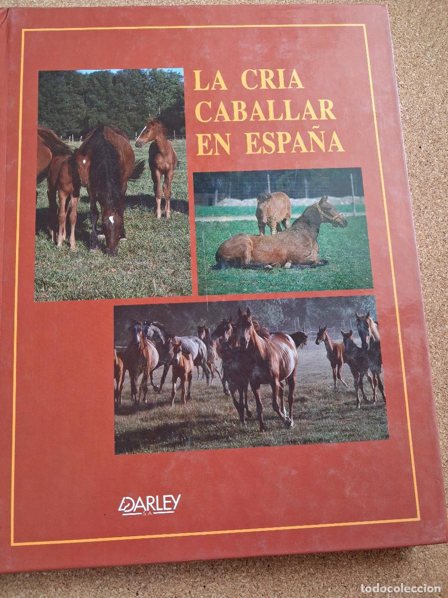 Libros de segunda mano: La cr&iacute;a caballar en Espa&ntilde;a. Llamas (Juan), Castell&oacute; (Jos&eacute; Ignacio), Gil (Dante Ant&oacute;n)