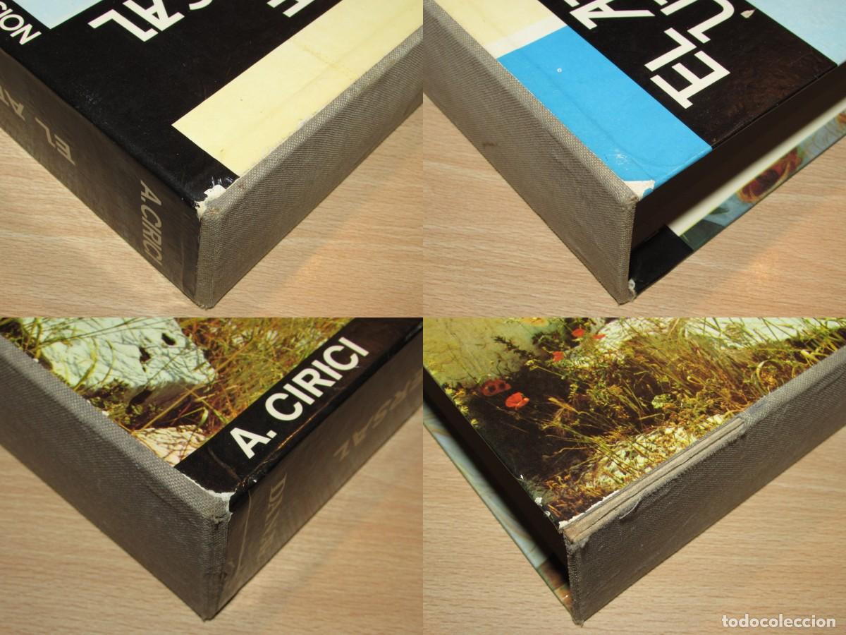 Libros de segunda mano: El arte universal Alexandre Cirici Pellicer Danae 1969 - Foto 7