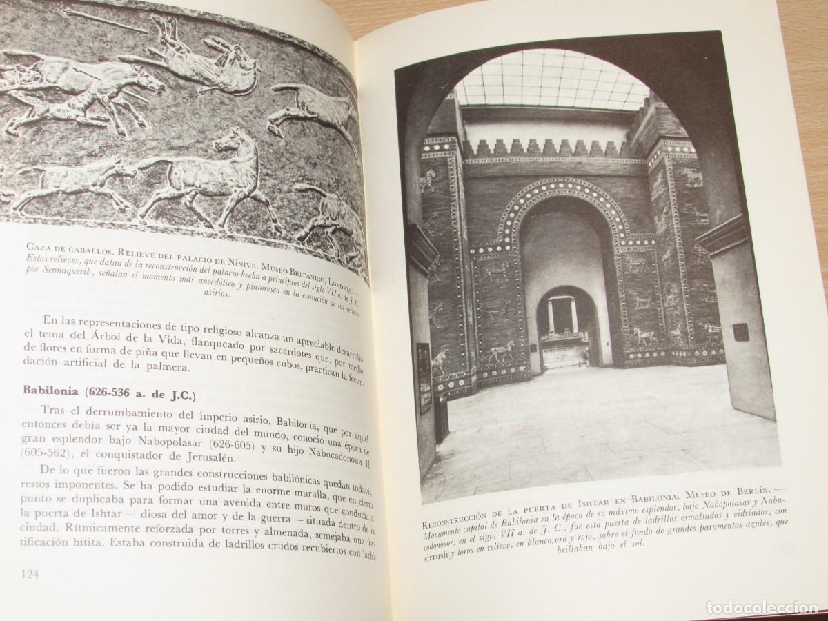 Libros de segunda mano: El arte universal Alexandre Cirici Pellicer Danae 1969 - Foto 21
