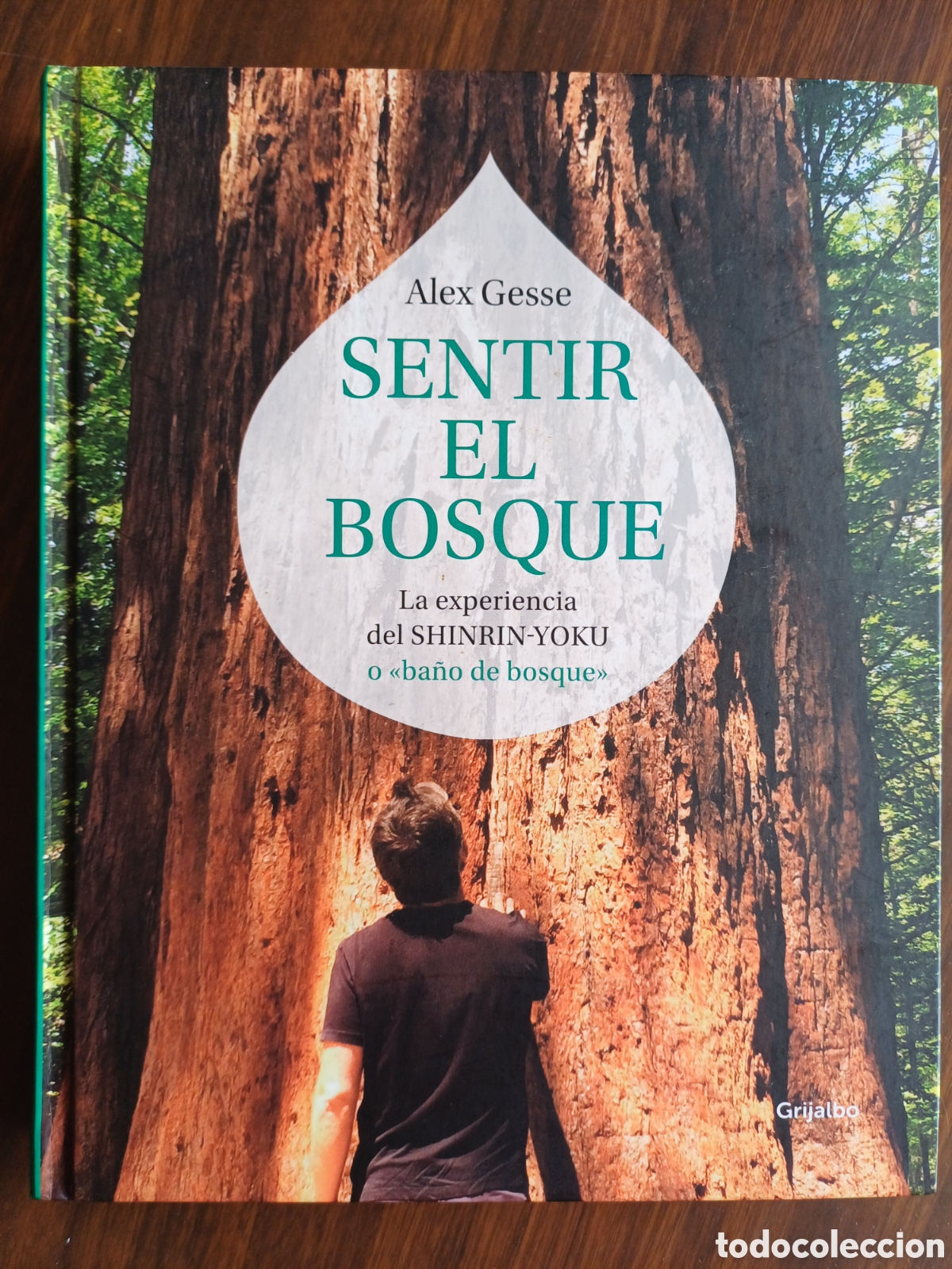 Libros de segunda mano: Sentir el bosque / Alex Gesse. Grijalbo, 2018