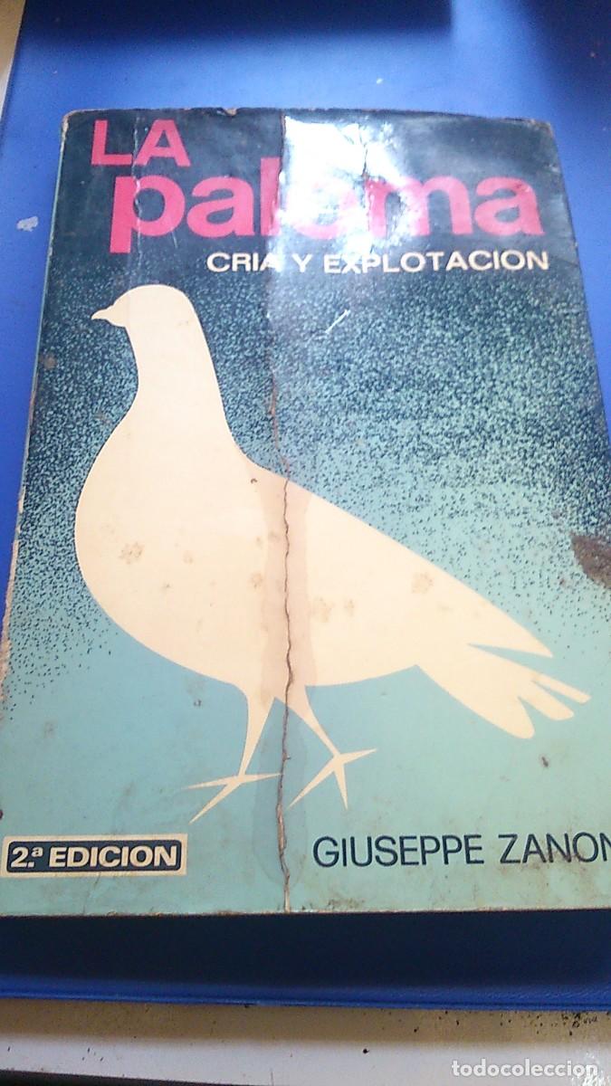 Libros de segunda mano: LA PALOMA CRIA Y EXPLOTACION.. 2&ordf; EDICI&Oacute;N g.SANONI. Edit&oacute; Mundi Prensa