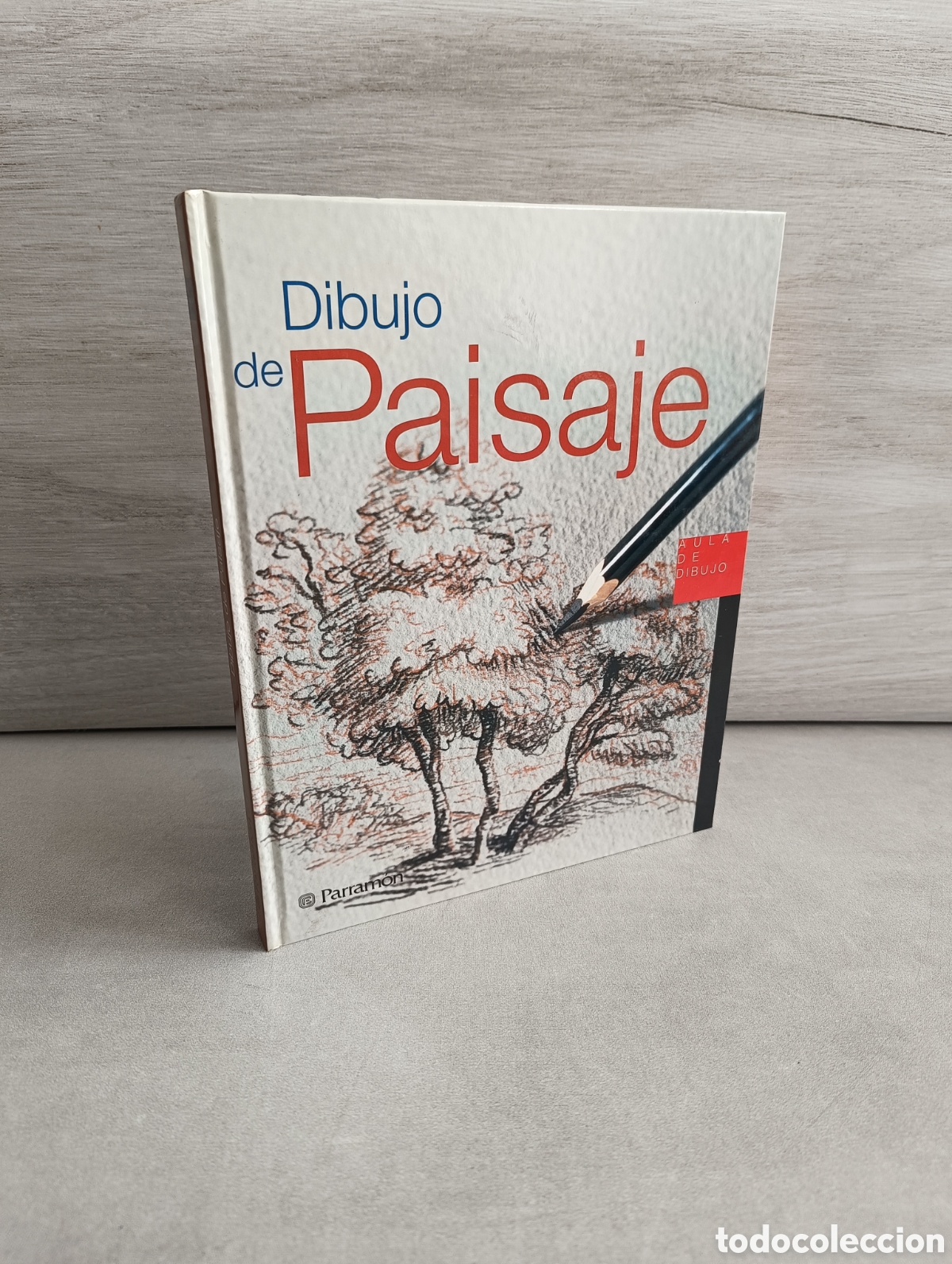 Libros de segunda mano: DIBUJO DE PAISAJE. AULA DE DIBUJO. EDITORIAL PARRAM&Oacute;N.