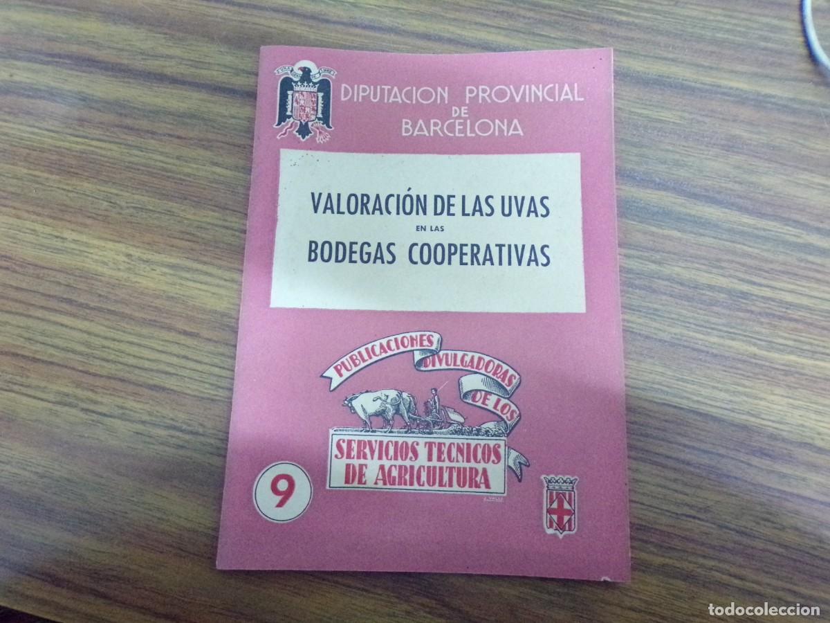 Libros de segunda mano: ESTAMOS LIQUIDANDO. valoraci&oacute;n de las uvas en las bodegas. diputaci&oacute;n barcelona. 1943. agr&iacute;cola