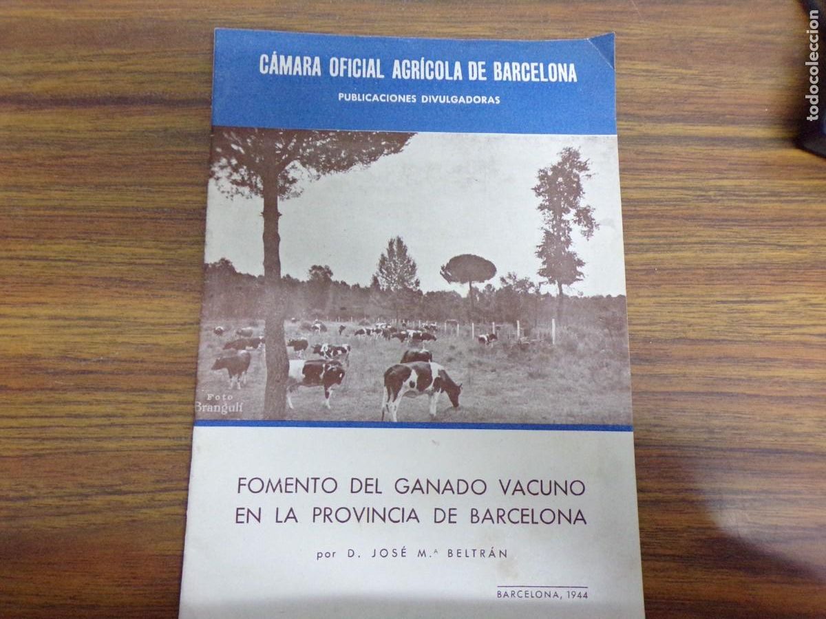 Libros de segunda mano: ESTAMOS LIQUIDANDO. fomento del ganado vacuno en la provincia de barcelona 1944. camara agricola