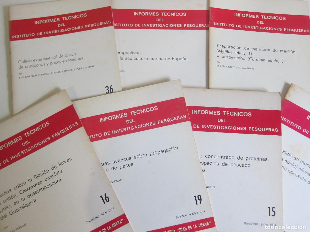 Libros de segunda mano: INFORMES T&Eacute;CNICOS DEL INSTITUTO DE INVESTIGACIONES PESQUERAS (CSIC) 7 UD. 1972 MANUAL