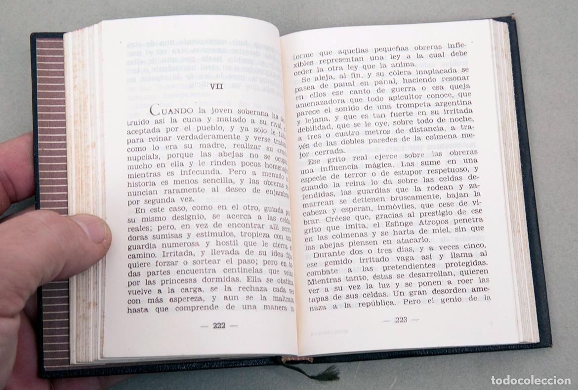 Libros de segunda mano: LA VIDA DE LAS ABEJAS - MAURICIO MAETERLINK - CRISOL NUM. 2 - 1943 - Foto 5