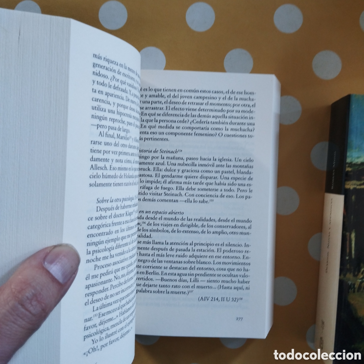 Libros de segunda mano: ROBERT MUSIL DIARIOS 2 VOL. DEBOLSILLO + NOTAS Y APENDICES - Foto 6