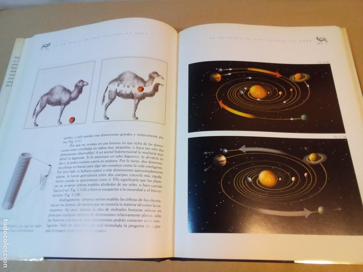 Libros de segunda mano: EL UNIVERSO EN UNA C&Aacute;SCARA DE NUEZ DE STEPHEN HAWKING - Foto 6