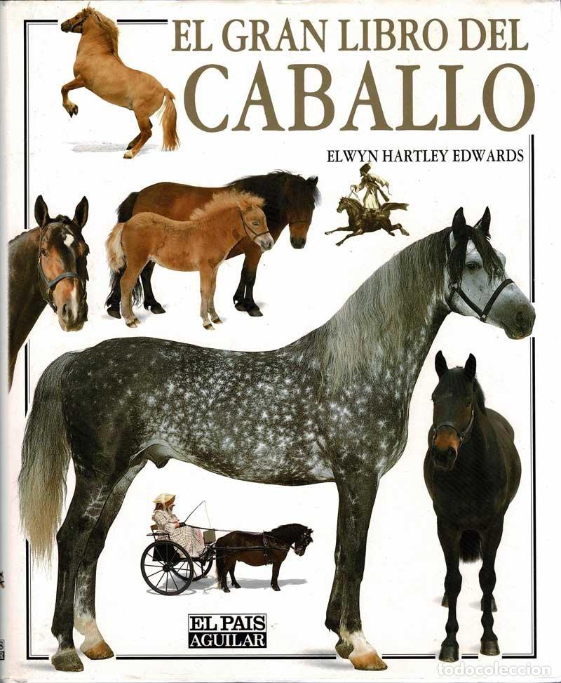 Libros de segunda mano: El gran libro del caballo - Elwyn Hartley Edwards - Foto 1