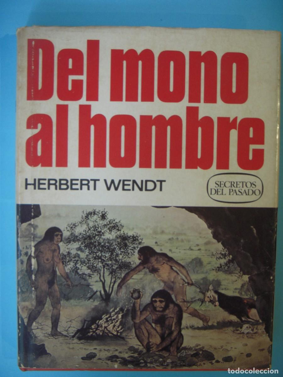 Libros de segunda mano: DEL MONO AL HOMBRE - HERBERT WENDT - BRUGUERA, 1976 1&ordf; EDICION (TAPA DURA, BUEN ESTADO)