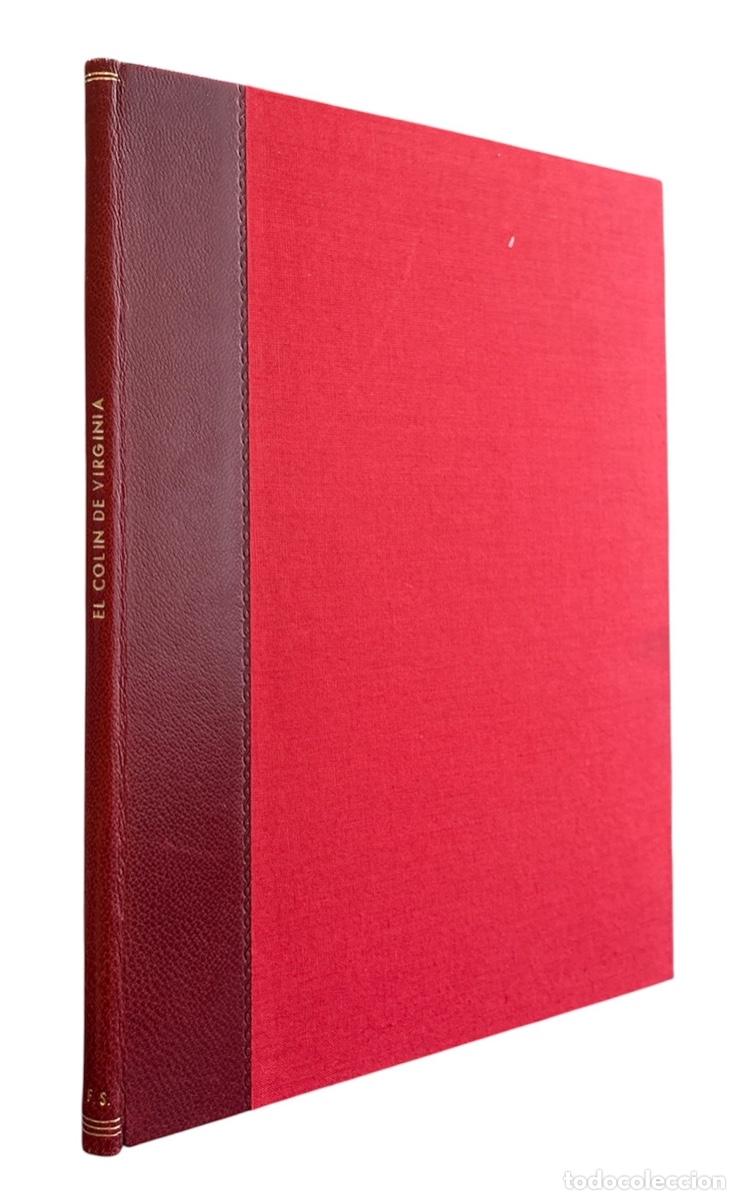 Libros de segunda mano: COLIN DE VIRGINIA, EL