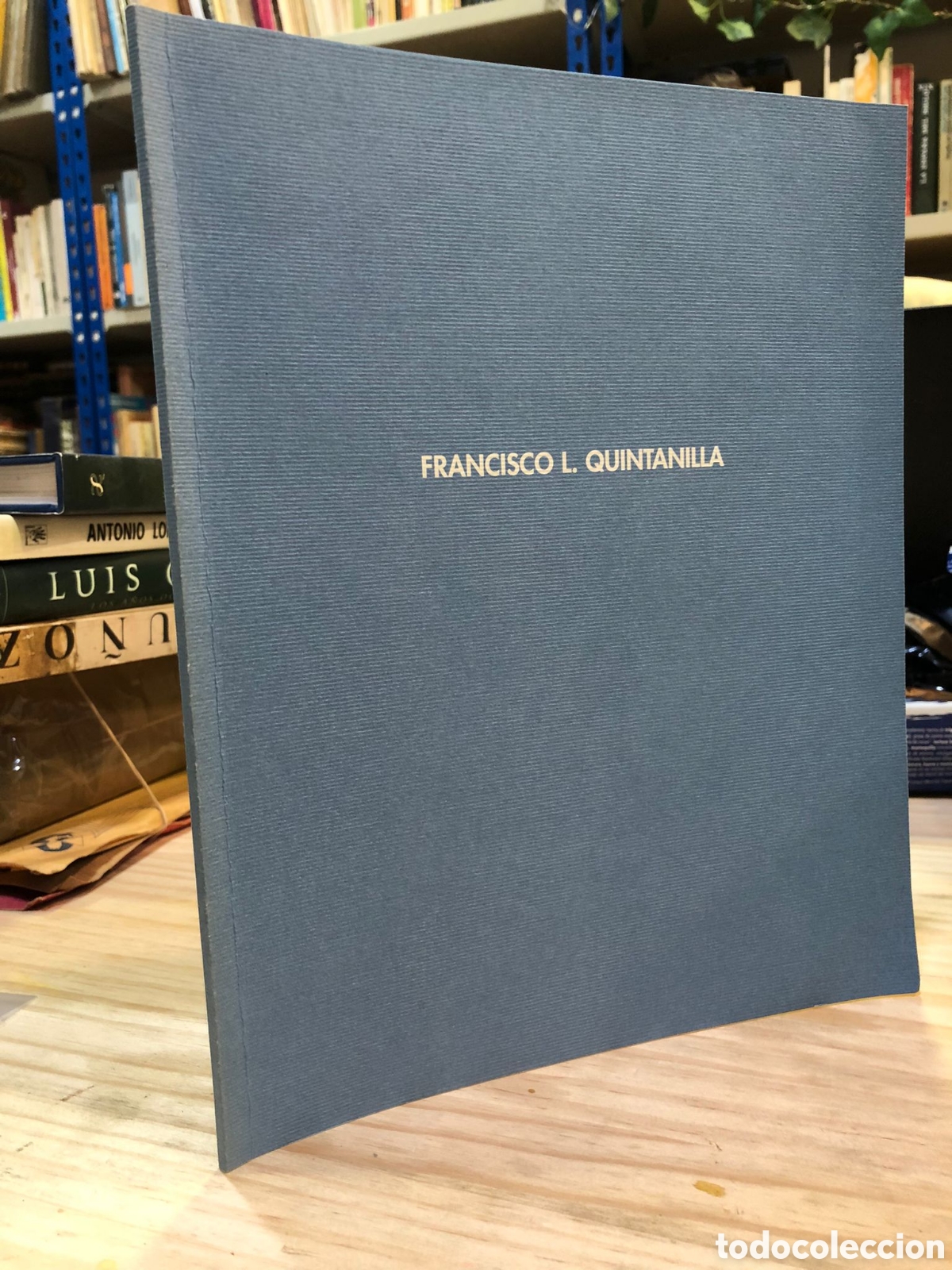 Gebrauchte B&uuml;cher: Francisco L. Quintanilla - Francisco Calvo Serraller