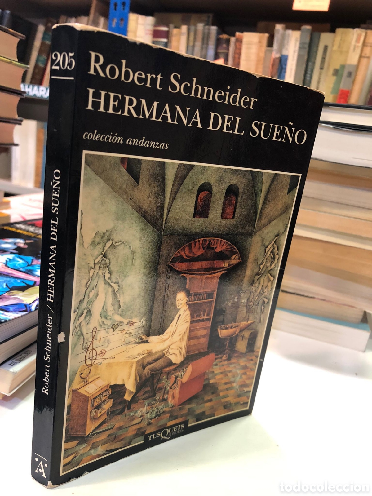 Libros de segunda mano: Hermana del sue&ntilde;o - Robert Schneider - Foto 1