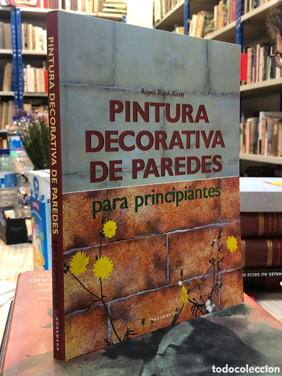Gebrauchte B&uuml;cher: Pintura decorativa de paredes para principiantes - Reyes Pujol-Xicoy